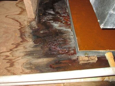 About Home Flood Recovery - water damage restoration experts in Elrod, AL
