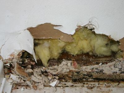 Professional water damage restoration services in Elrod, AL - Home Flood Recovery